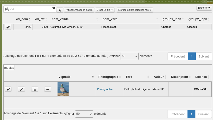 ../../_images/interface-attribute-table-show-image-preview.jpg